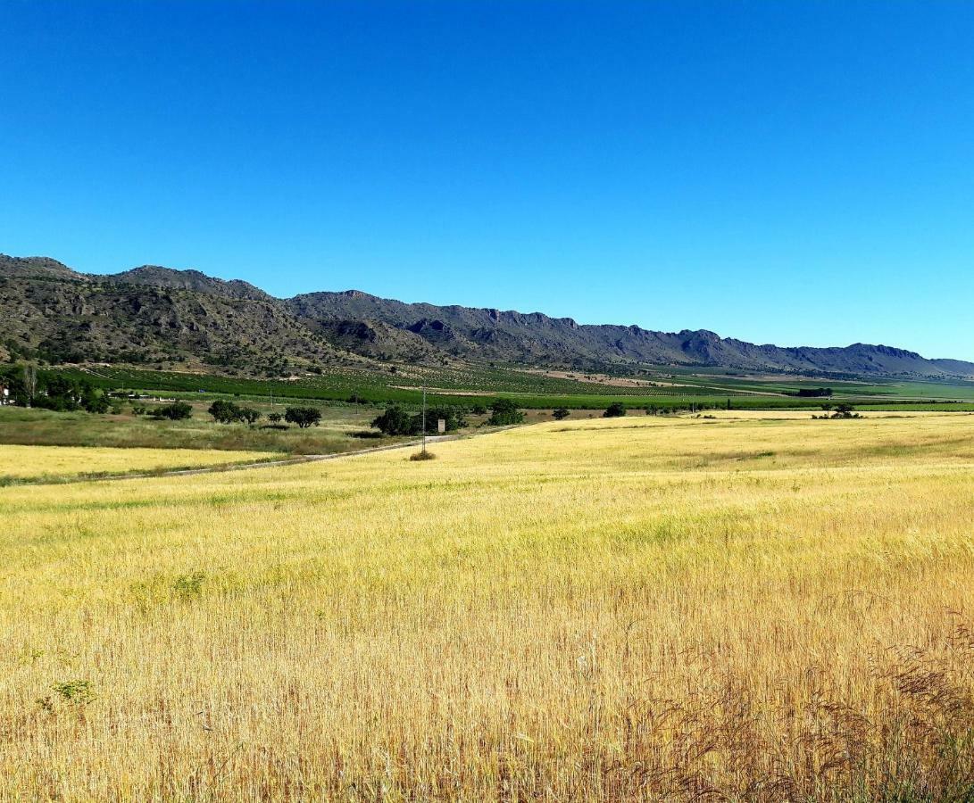 Вилла Casa Vidal Relax Al Pie De La Sierra Екла Экстерьер фото